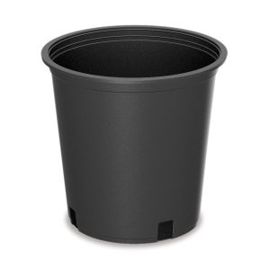 Série CA